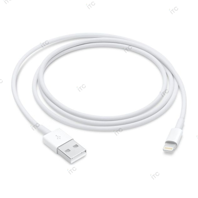 アクセサリー Lightning - USB 充電ケーブル（1 m）