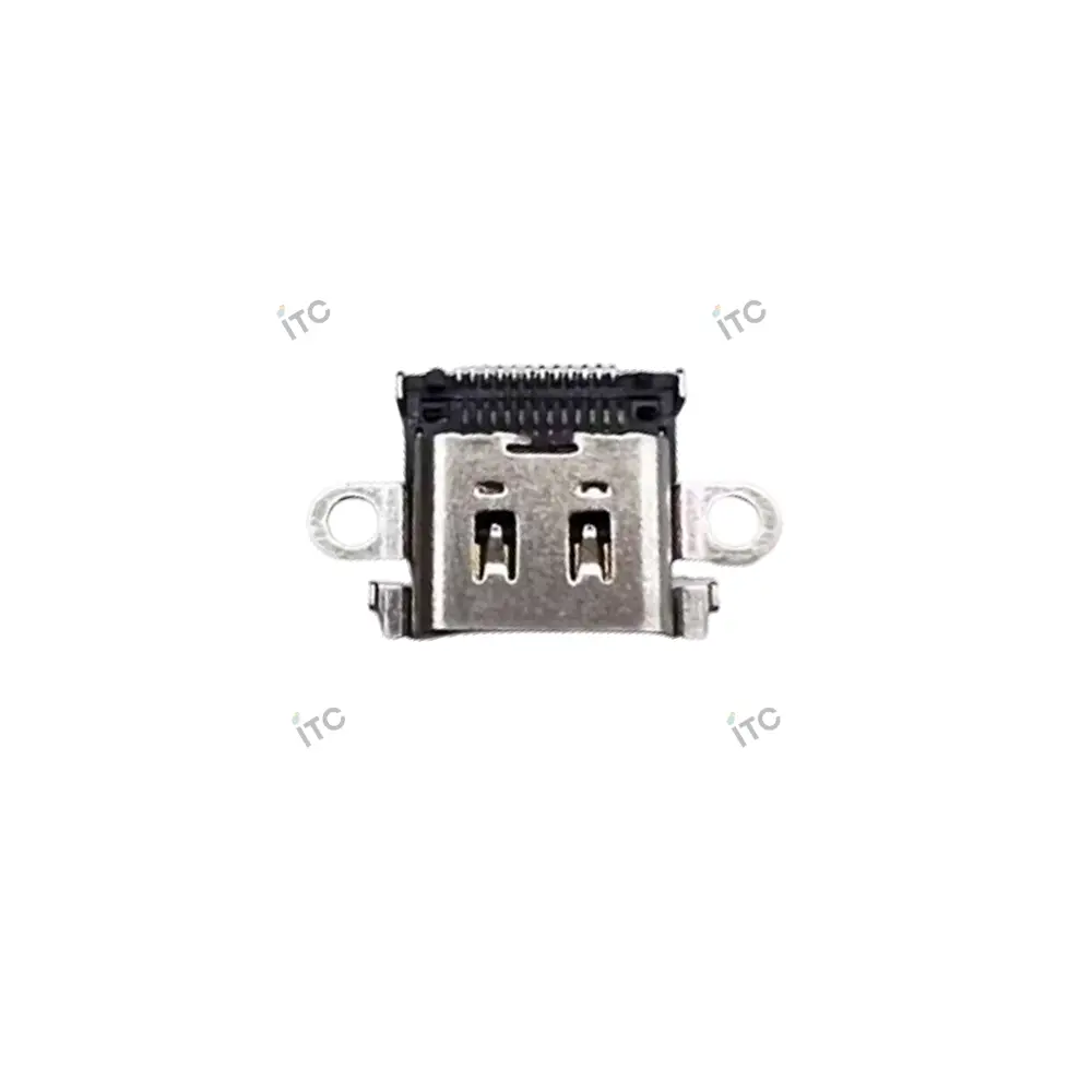 Switch Lite 充電口